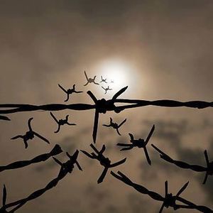 Meet your Posher, Văn